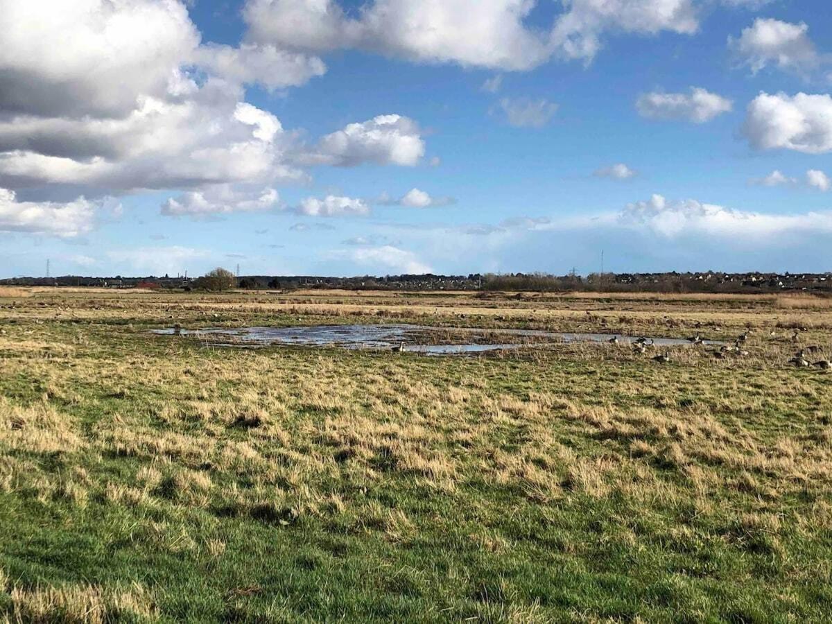 New Homely Countryside Escape Manningtree Esterno foto